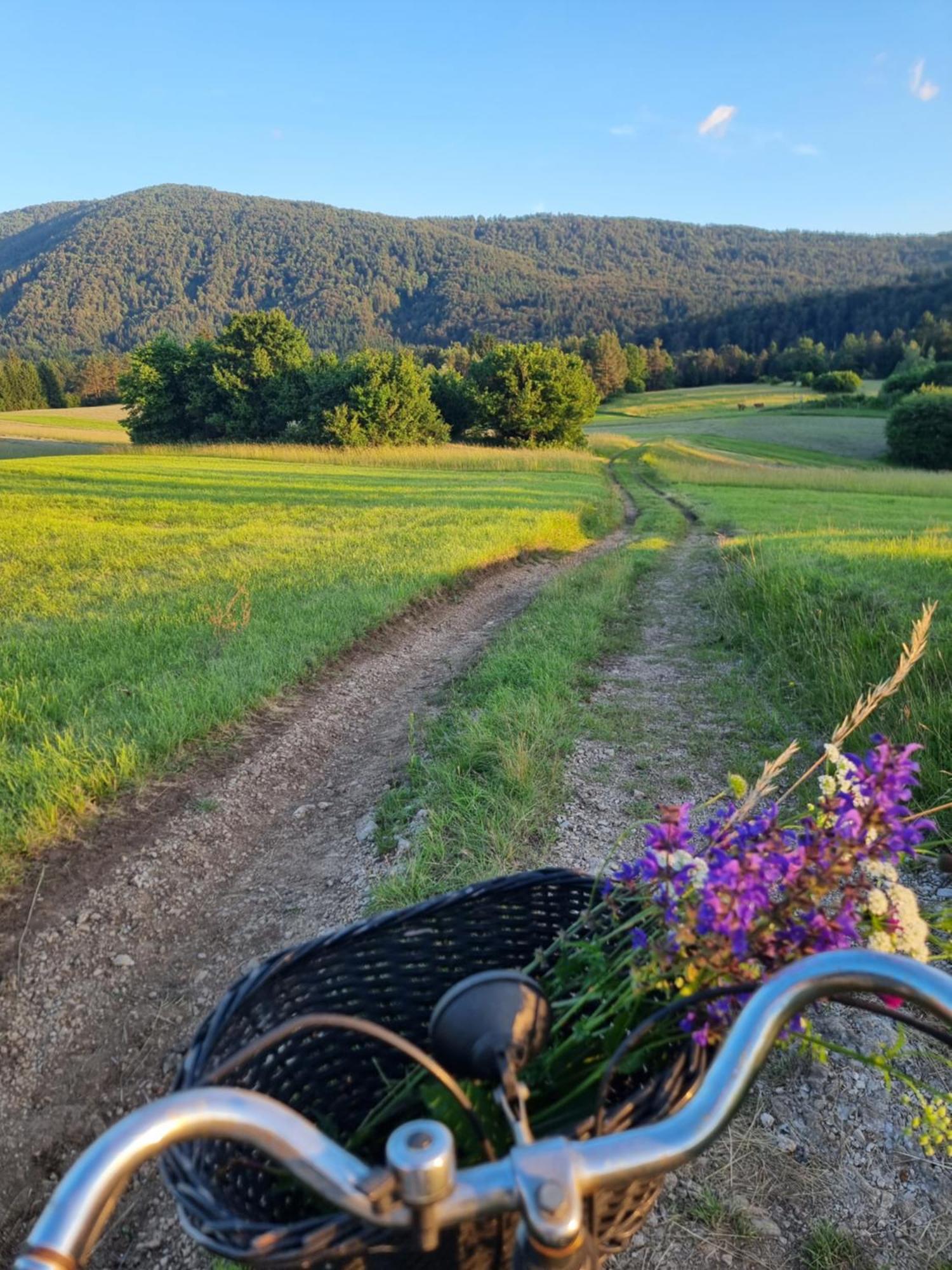 Notranjska Hisa - Traditional Country House, Close To The World Attraction Cerknica *
